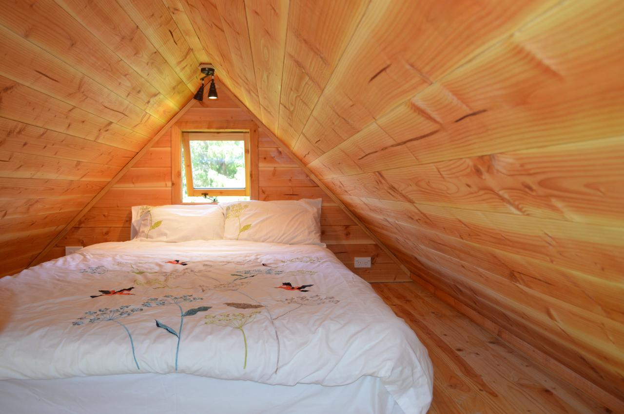 Sunrise Cabin At First Light Rangihaeata Retreat Takaka Exteriér fotografie